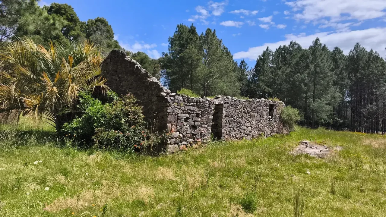 St. Michels — 14